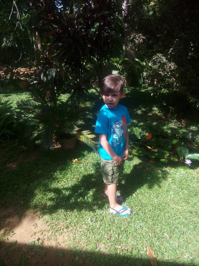 Dambulla Green Villa Dış mekan fotoğraf