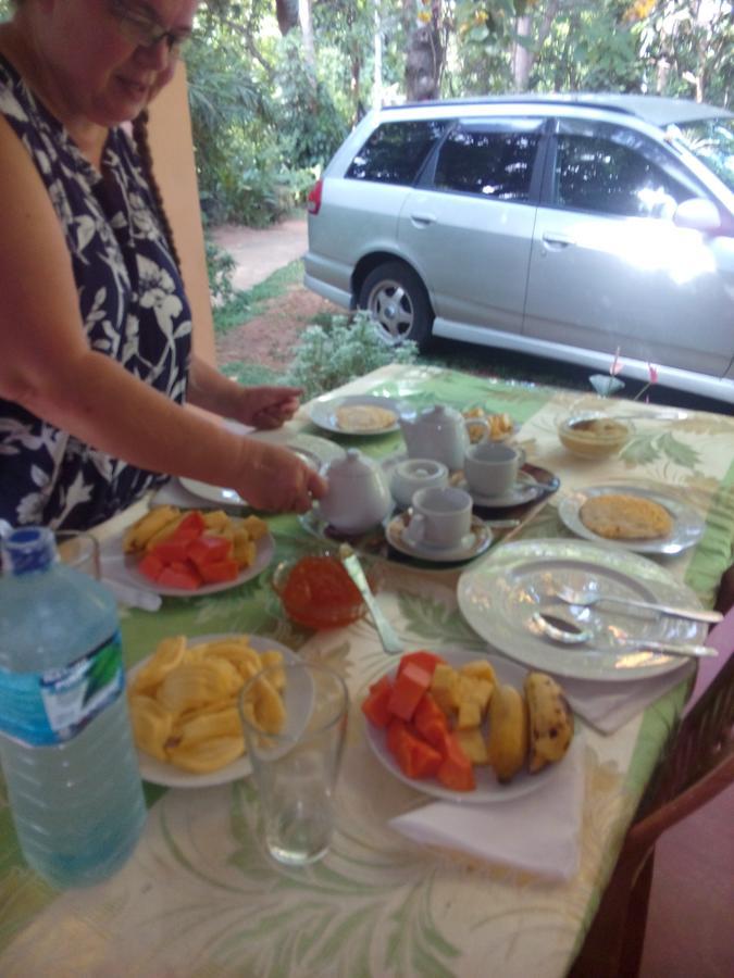 Dambulla Green Villa Dış mekan fotoğraf