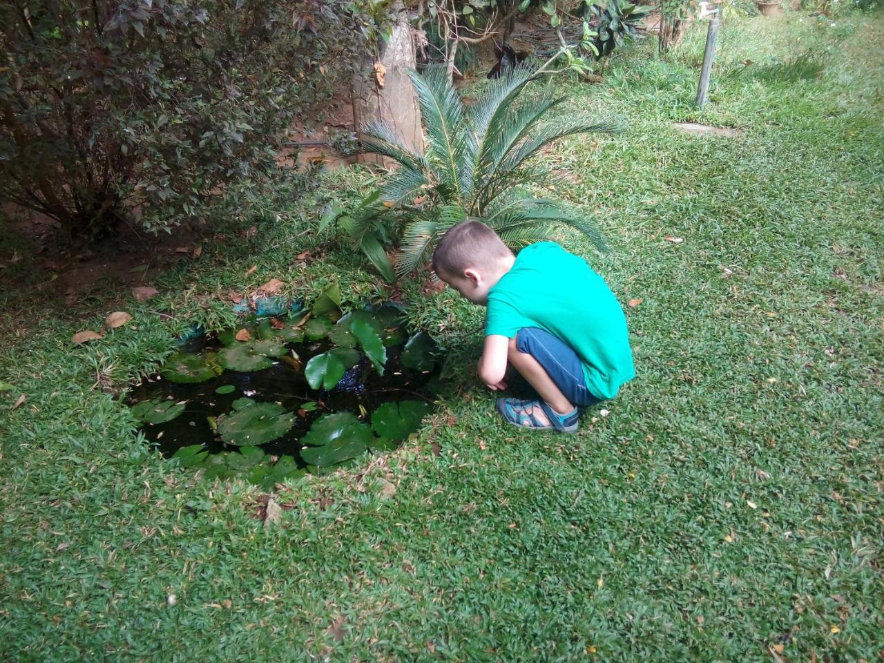 Dambulla Green Villa Dış mekan fotoğraf